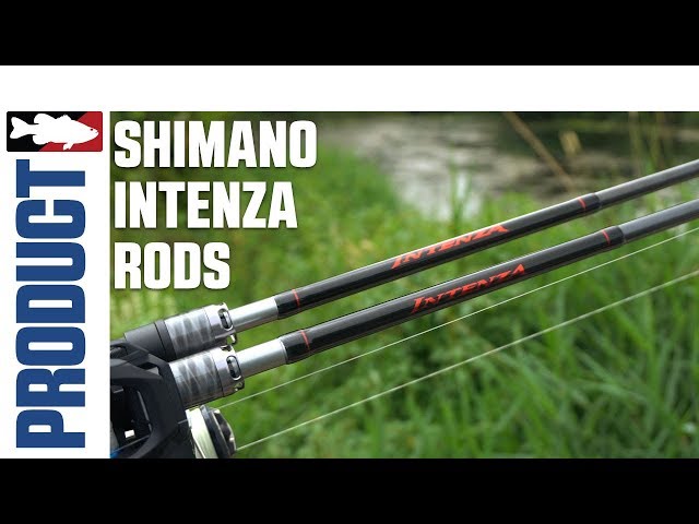 Shimano Intenza Rod Product Video with Luke Clausen and Trey Epich 