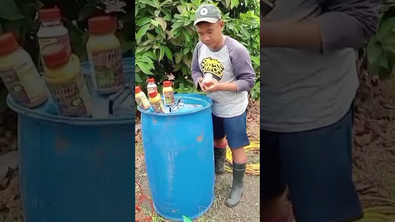 Proses Pembuatan Penyangga Screenet, pemupukan dan Proses Pembungaan @beensaetani625 