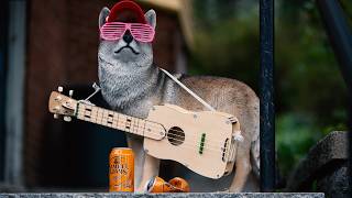 Somerville Porchfest 2026 (5/9/26)