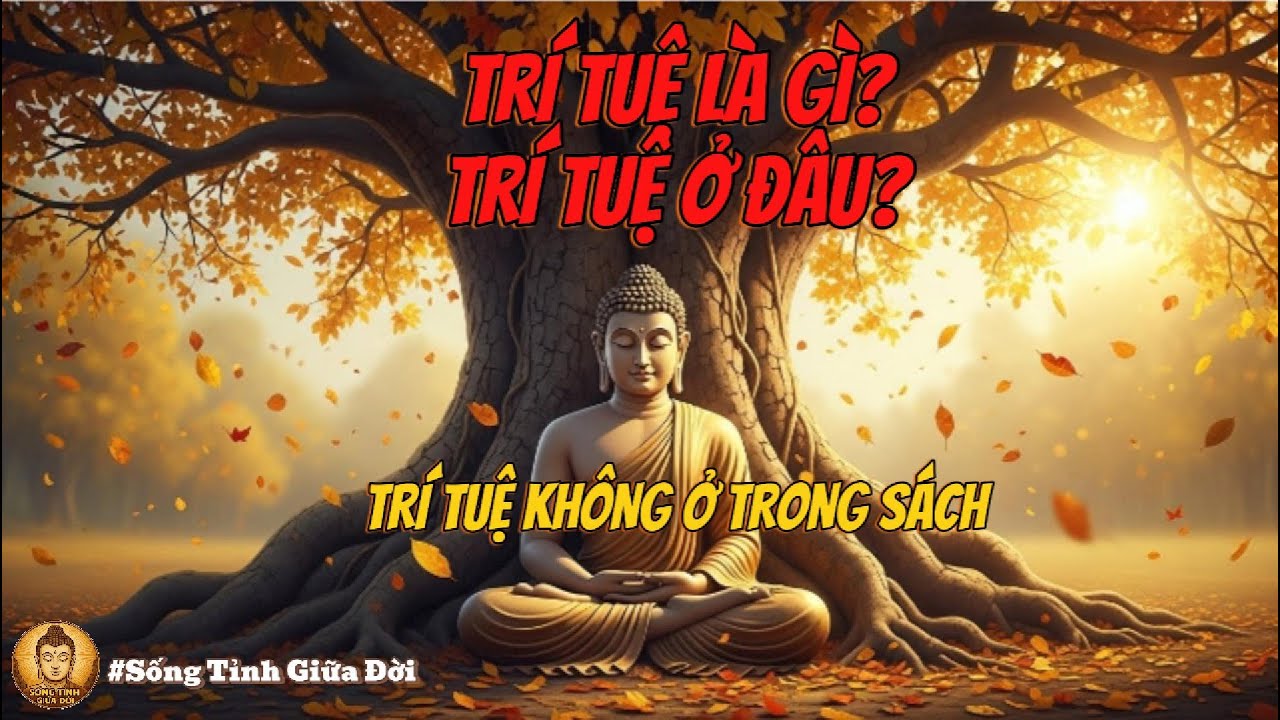 Trí tuệ ở đâu? Tri Thức Không Giải Thoát – Cuộc Đối Thoại Khi Vua Melinda Chạm Vào Bản Chất Trí Tuệ