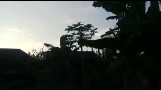 Mentahan Video | Suasana pagi di desa