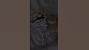 تلاوة قرآن مؤثرة تريح الأعصاب أجر لي ولكم أكتب شي تؤجر عليه ♡♡♡