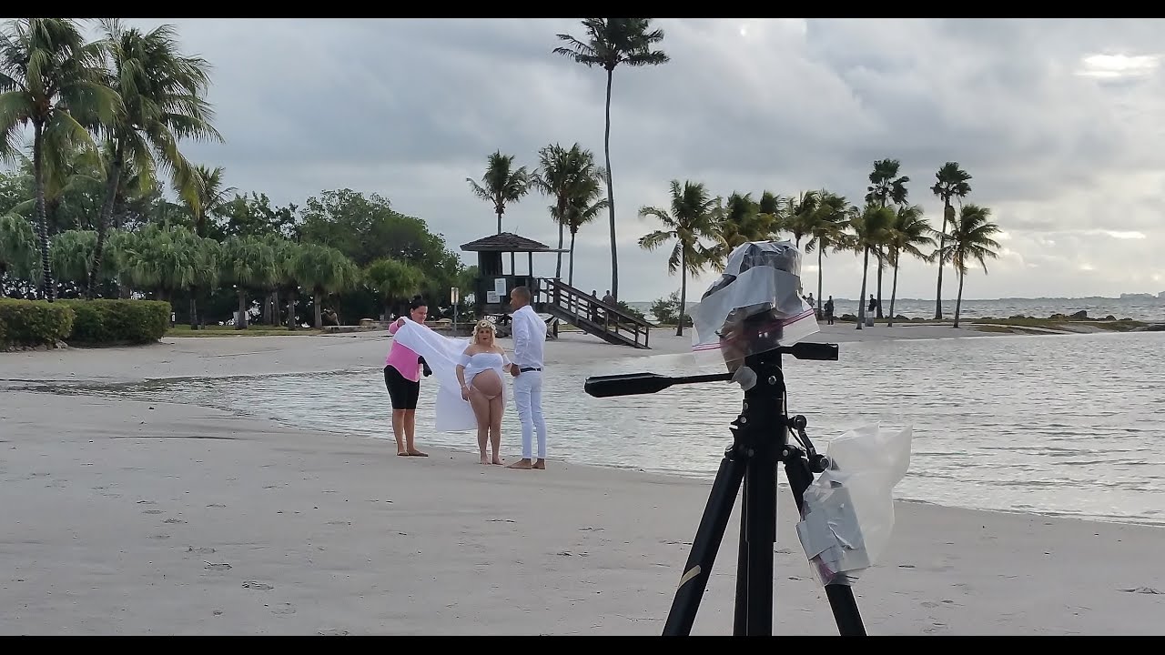 About The King Tide at Matheson Hammock YouTube