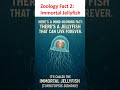 Immortal Jellyfish| Zoology Facts Mini Series Part 2
