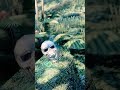 Things Necromancers would say