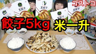 【大食い】コストコ・bibigoの王餃子５kgをおかずにご飯一升！！【双子】