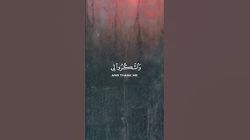 تلاوة خاشعة ومؤثرة القارئ محمد هشام حسن