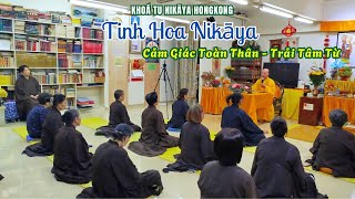 Tinh Hoa NIKAYA - Cảm Giác Toàn Thân - Trải Tâm Từ * Khóa Tu Hồng Kông