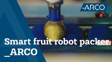 Smart Fruit Robot Packer - Agri & Food Machines - ARCO Solutions