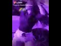 اجمل اغنيه اجنبيه اوناي ناي اجمل اغنيه اجنبيه اوناي ناي