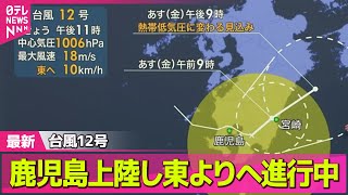 日テレNEWSの配信のサムネイル画像