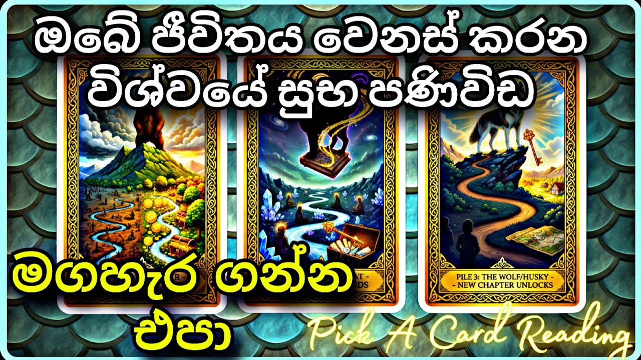 විශ්වයෙන් ඔබට සුවිශේෂ රහස් පණිවිඩය මෙන්න  ✨Pick a Card Reading 2026 #tarotcardreading #sinhala