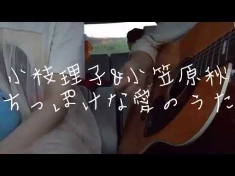 ちっぽけな愛のうた/小枝理子&小笠原秋 歌ってみた 弾いてみた 弾き語り ユニット cover
