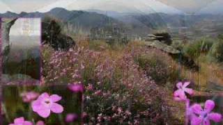 À Descoberta de Vila Flor - 100000 Visitantes