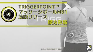 TRIGGERPOINT™️マッサージボールMB1を使った腰方形筋の筋膜リリース方法