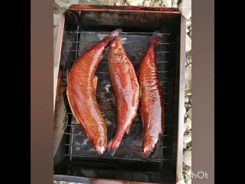мушки на хариуса и ленка