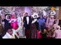 6 الفنان محمود الاسوانى فرحه محمود افراح بنبان كيمو فوكس بيفرح 2025 احمدكانو