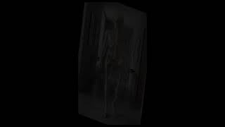 Amazing facts about the skeleton