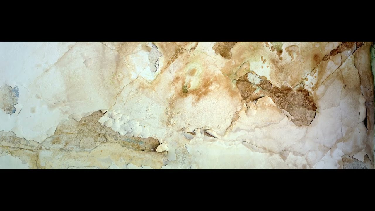 Professional Home Inspections Miami - Florida Inspections Unlimited