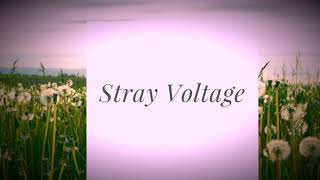 Stray Voltage