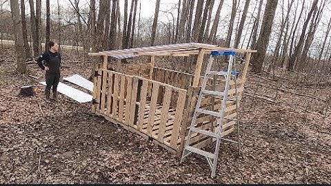 Building A Chicken Coop Out of Pallets -  Part 1- Bainbridge Blooms