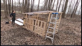 Building A Chicken Coop Out of Pallets   Part 1 Bainbridge Blooms