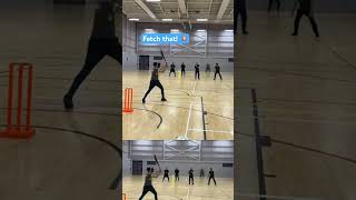 Huuuge hit! #viral #trending #shorts #shortvideo #cricketshorts #cricket #youtubeshorts #new #feed