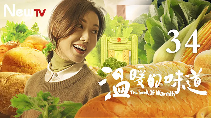 【ENG SUB 正片】溫暖的味道 34丨The Smell of Warmth 34（主演：靳東，李乃文，毛曉慧，吳越） #2021靳東新劇 - 天天要聞