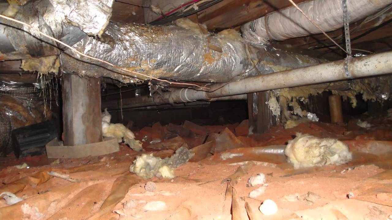Permanent solution for a moldy crawl space in Tallahassee. FL | Customer Testimonial