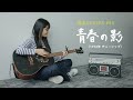「青春の影」Seishun No Kage / チューリップ Tulip -  hima.cover#93