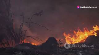 Flames of History - Top 10 Most Devastating Fires in the History