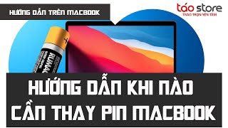 Hướng Dẫn Khi Nào Cần Thay Pin Macbook| Táo Store