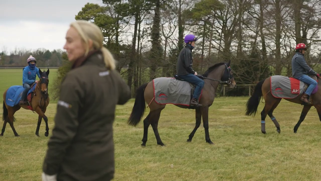 Alice Haynes Racing: The Owner Experience