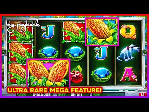 ULTRA RARE MEGA BONUS! Cash Crop Slots!