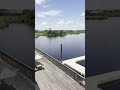Claw Daddy's On Da Bayou