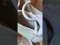 Louis Vuitton white monogram canvas tote bag