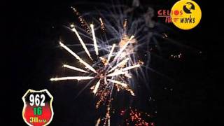 CGF-962s.wmv
