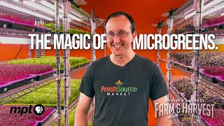 Growing Microgreens Indoors | Maryland Farm & Harvest