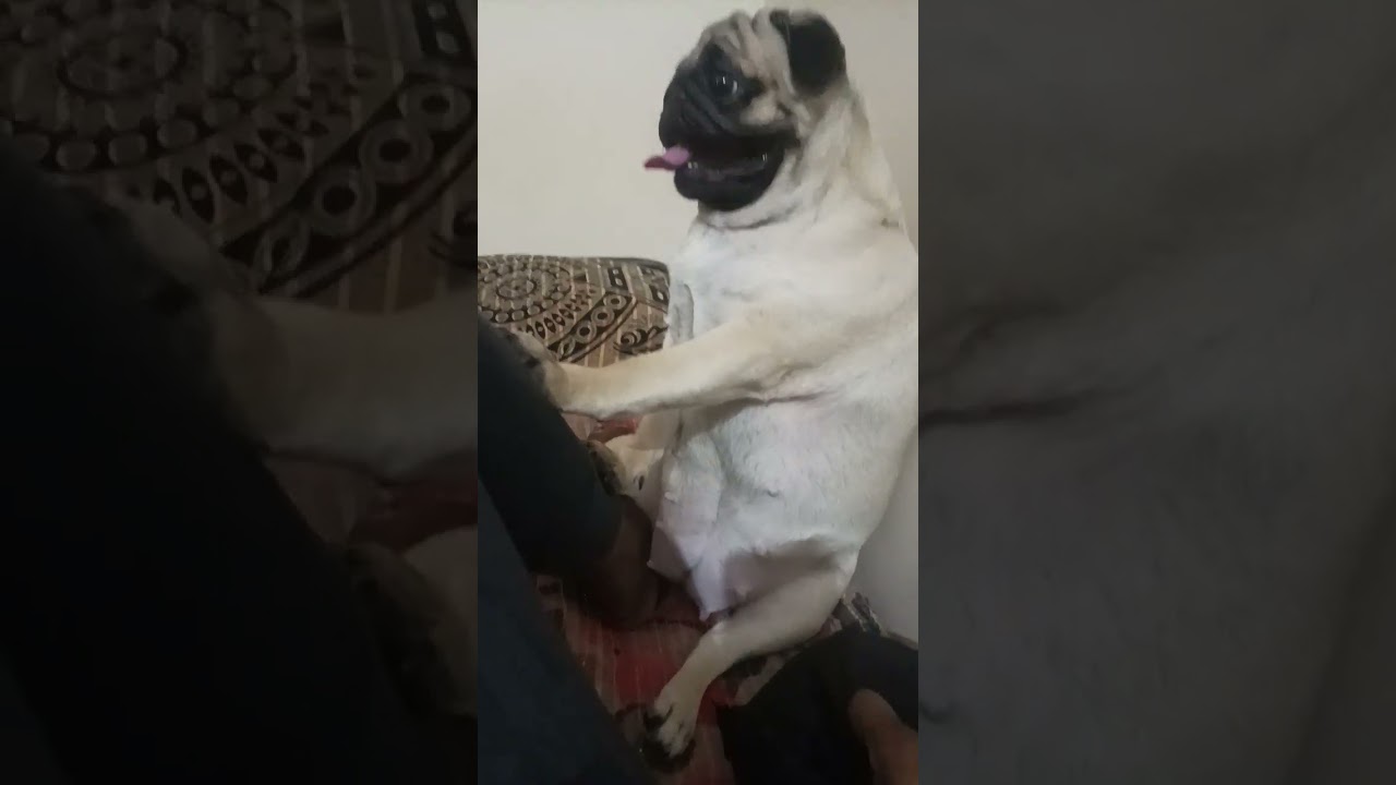 iski masti shurur ha 