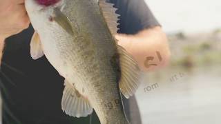 Netfish - Free Fishing Guide and Rewards App screenshot 2