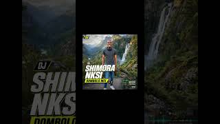 DJ SHIMORA NKSI DOMBOLO MIX.1