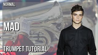 How to play MAD by Martin Garrix & Lauv on Trumpet (Tutorial)