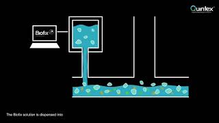 Quintex Biofix Animation