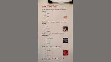 Anatomy quiz Can you get 7/7? #quiz #quiztime #trivia #anatomy #body