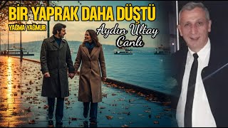 Bir Yaprak Daha Düştü - Aydın Ultay Canlı 