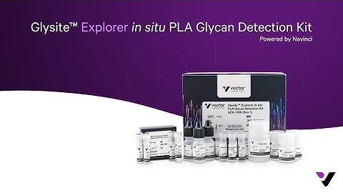 Glysite Explorer in situ PLA Glycan Detection Kit — Powered by Navinci