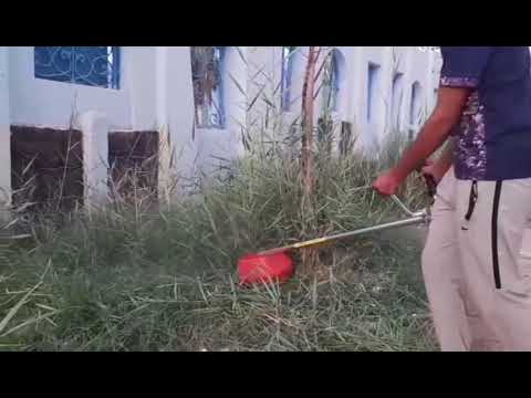 فيديو: كيف تختار جزازة العشب؟