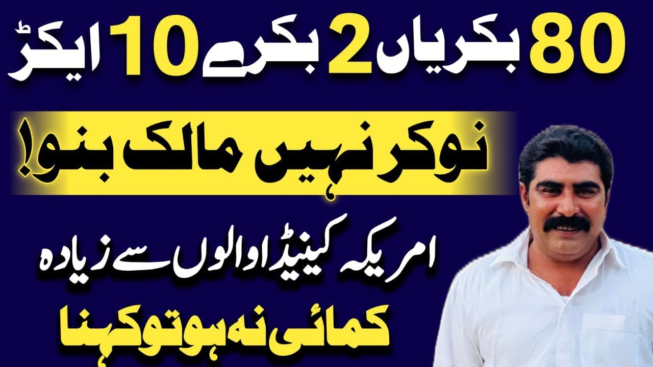 Best idea of goat farming 