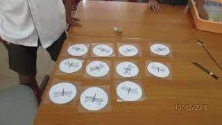 PYP Math Dragonfly Multiplication