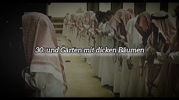Surah 'Abasa [80] deutsch #muhammadalluhaidan #foryou #quran #luhaidan سورة عبس محمد اللحيدان